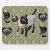 Thailändisch-geborene Siamkatze Mousepad (Vorne)