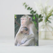 Thailändische Affenmutter und Kinderarmut Postkarte (Stehend Vorderseite)