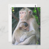 Thailändische Affenmutter und Kinderarmut Postkarte (Vorne/Hinten)