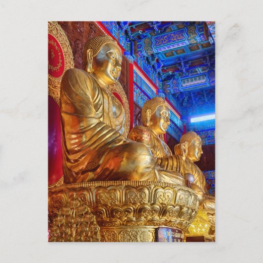 Thailändische China-Buddha-Bildstatue Postkarte (Vorderseite)