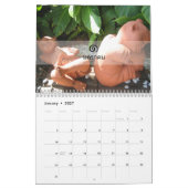 Thailändischer Foto Kalender 2025 (Jan 2027)