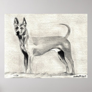 Thailändischer Ridgeback Hundedruck Poster