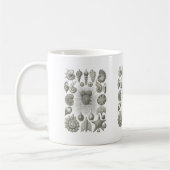 Thalamophora Kaffeetasse (Links)