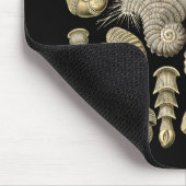 Thalamophora Mousepad (Ecke)