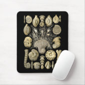 Thalamophora Mousepad (Mit Mouse)