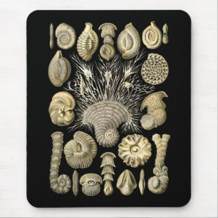 Thalamophora Mousepad