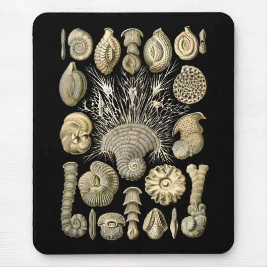 Thalamophora Mousepad (Vorne)