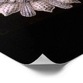 Thalamphora - Plate 2 - Kunstformen der Natur Poster (Ecke)