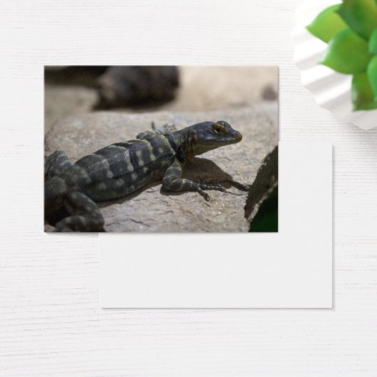 Thalassinus (Schreibtisch)