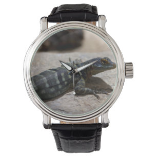 Thalassinus Armbanduhr