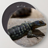 Thalassinus Button (Vorne & Hinten)