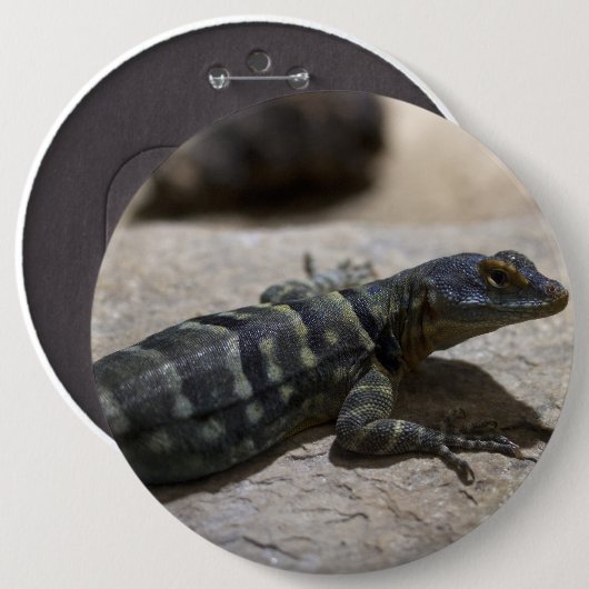 Thalassinus Button (Vorne & Hinten)