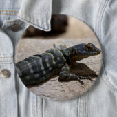 Thalassinus Button (Beispiel)