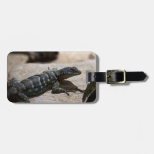 Thalassinus Gepäckanhänger