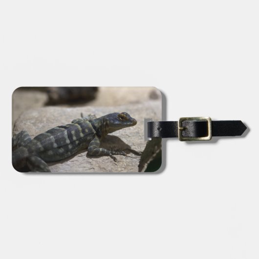 Thalassinus Gepäckanhänger (Vorderseite horizontal)