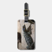 Thalassinus Gepäckanhänger (Vorderseite vertikal)