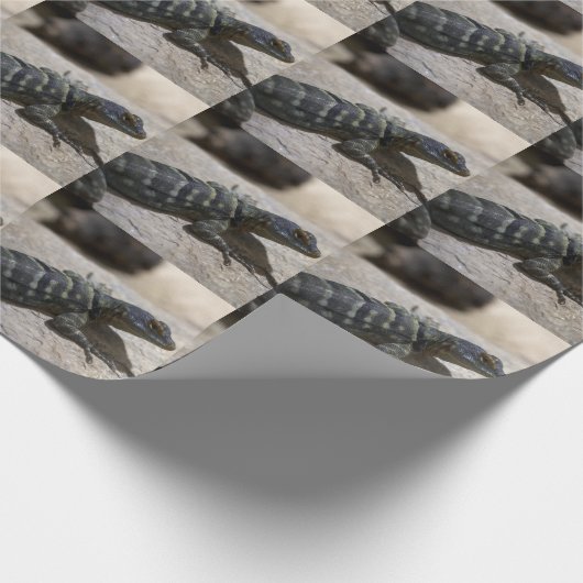 Thalassinus Geschenkpapier (Ecke)