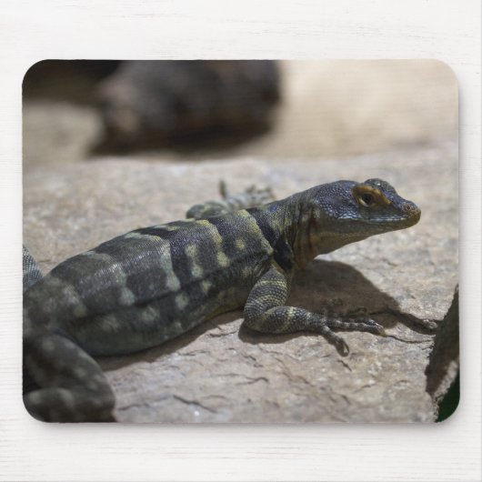 Thalassinus Mousepad (Vorne)