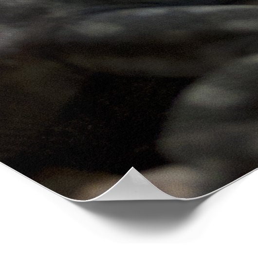 Thalassinus Poster (Ecke)