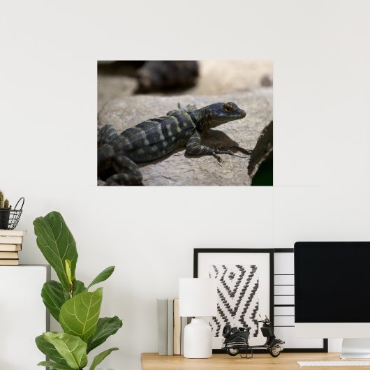 Thalassinus Poster (Heimbüro)