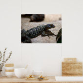 Thalassinus Poster (Küche)