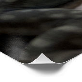 Thalassinus Poster (Ecke)