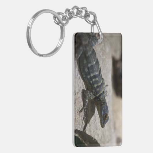 Thalassinus Schlüsselanhänger (Vorderseite links)