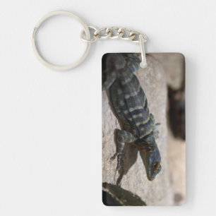 Thalassinus Schlüsselanhänger