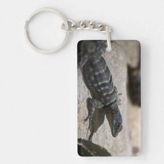 Thalassinus Schlüsselanhänger (Vorderseite)