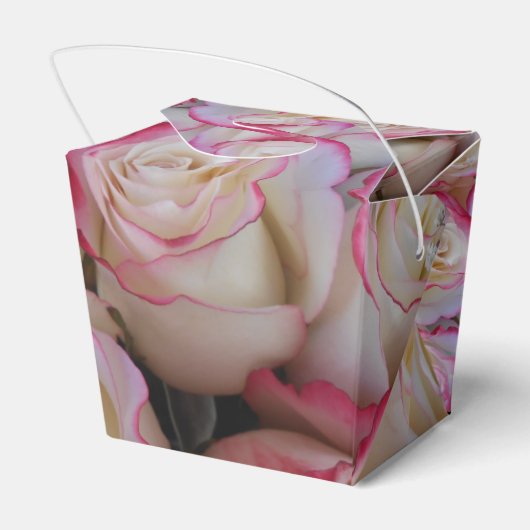 Thamar Geschenkschachtel (Rückseite)