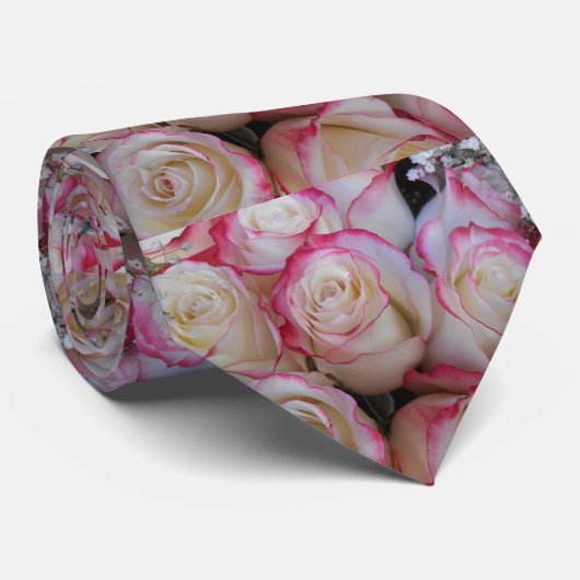 Thamar Krawatte (Gerollt)