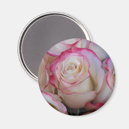 Thamar Magnet (Vorderseite/Rückseite)