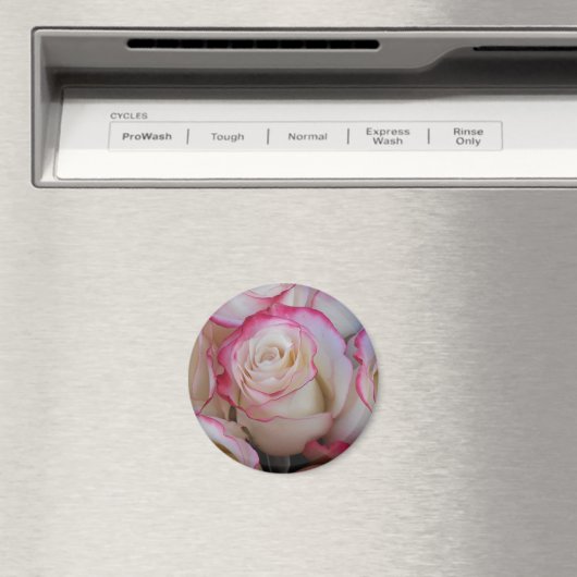 Thamar Magnet (In Situ (Geschirrspüler))