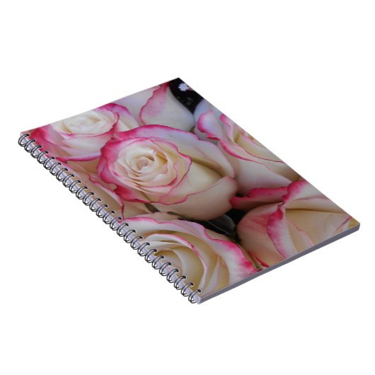 Thamar Notizblock (Rechte Seite)