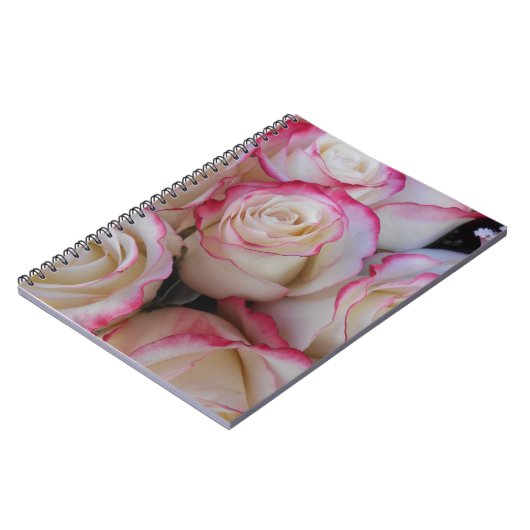 Thamar Notizblock (Linke Seite)