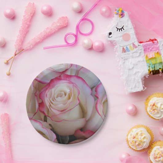 Thamar Pappteller (Party)