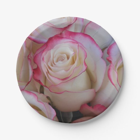 Thamar Pappteller (Vorderseite)