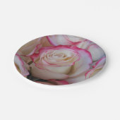 Thamar Pappteller (Schrägansicht)