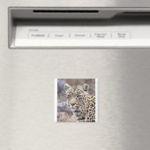 Thandi - weibliche Leopardin Magnet (In Situ (Geschirrspüler))