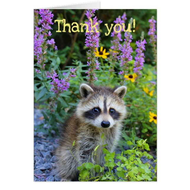 Thank you among the flowers (Vorne)