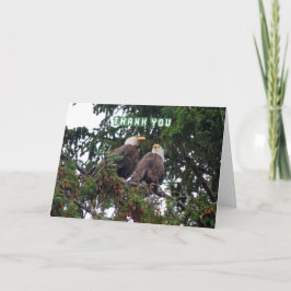 Thank You, Bald Eagles Card Dankeskarte