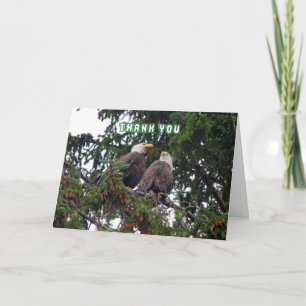 Thank You, Bald Eagles Card Dankeskarte
