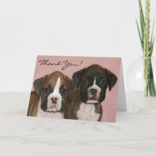 Thank you Boxer Puppies greeting card Dankeskarte (Vorderseite)