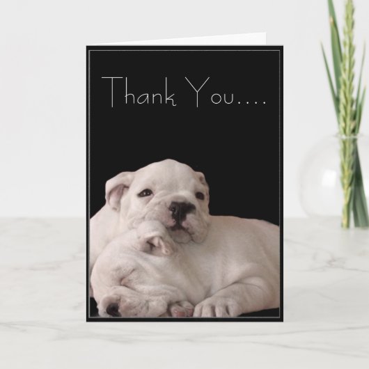 Thank You Bulldog Puppies Greeting Card Dankeskarte (Vorderseite)
