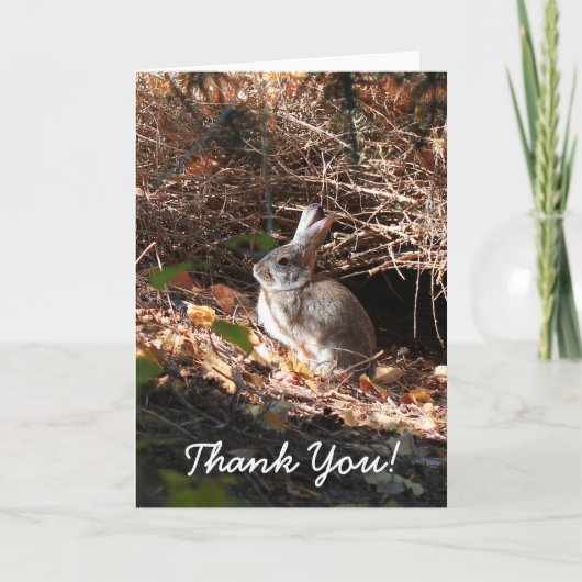 Thank You Bunny Rabbit Greeting Card Dankeskarte (Vorderseite)