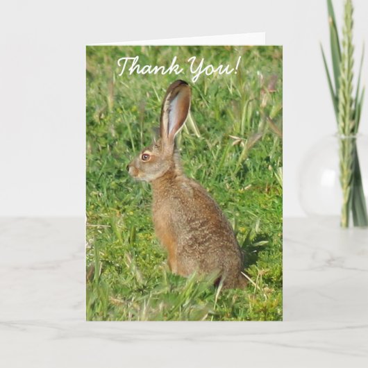 Thank You Jack Rabbit greeting card Dankeskarte (Vorderseite)