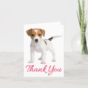 Thank You Jack Russell Terrier Puppy Dankeskarte