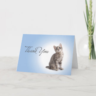Thank You Kitten on Blue Dankeskarte