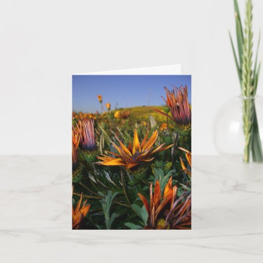 Thank you note: Field of Flowers Dankeskarte (Vorderseite)