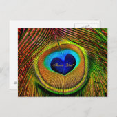 Thank You Peacock Feathers Eye of Love Postkarte (Vorne/Hinten)